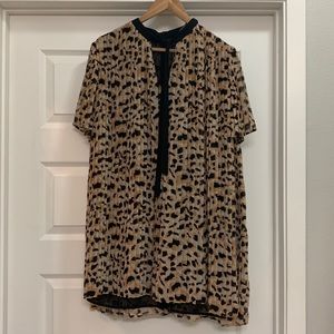 Zara Black and Tan Mini Dress Chic and Versatile